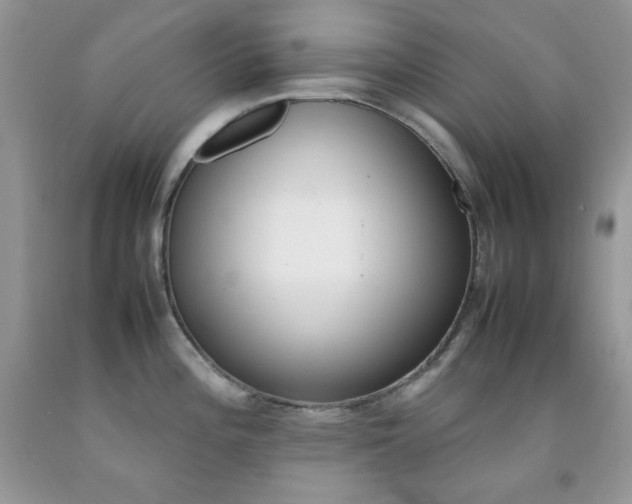 X0000092251196200709140959