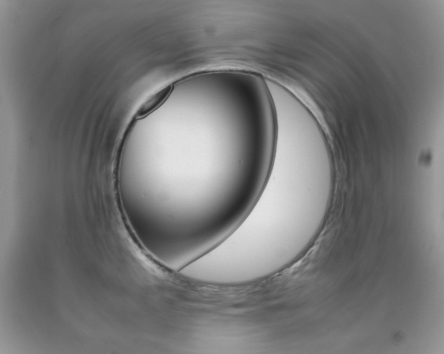 X0000092251197200709140959