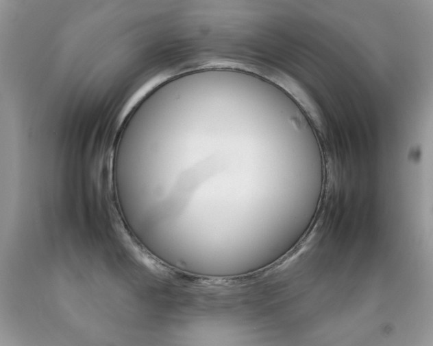 X0000092251198200709140959