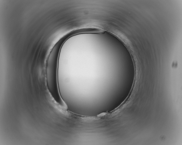 X0000092251200200709140959