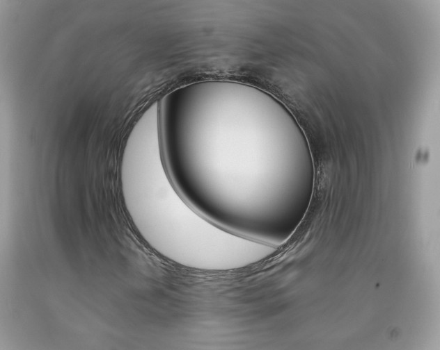 X0000092251202200709140958
