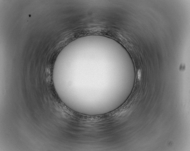 X0000092251203200709140958