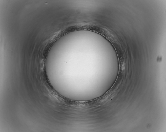 X0000092251204200709140958