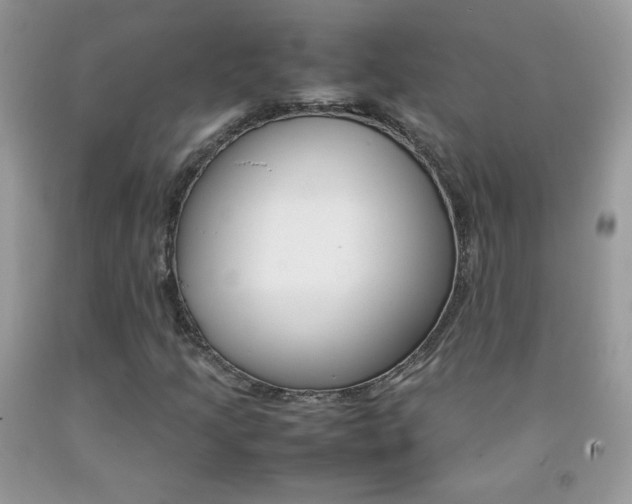X0000092251205200709140958