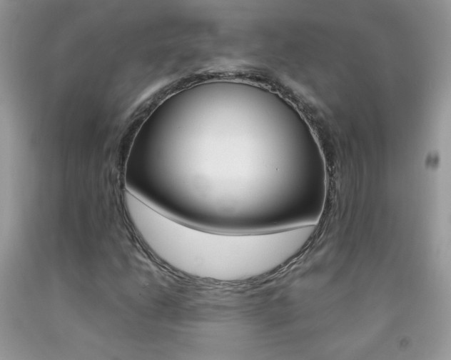 X0000092251206200709140958