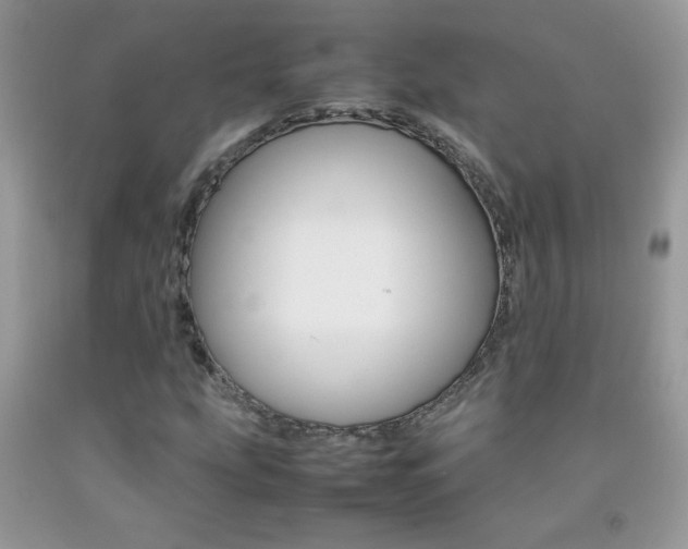 X0000092251207200709140958