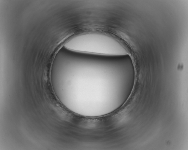 X0000092251209200709140959