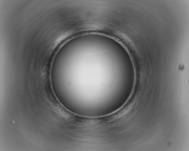 X0000092251210200709140959