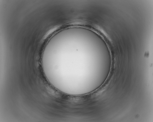 X0000092251213200709140959