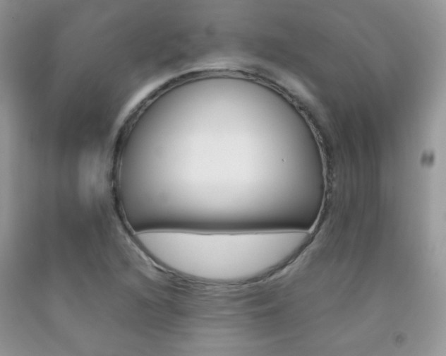 X0000092251216200709140959