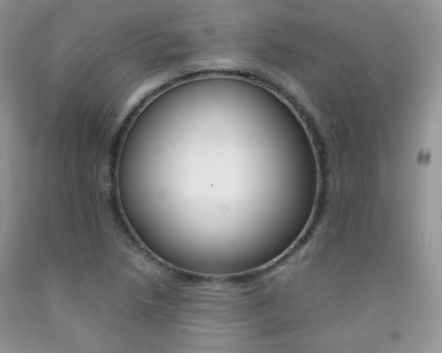 X0000092251218200709140959