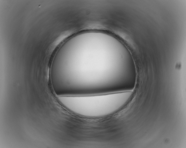 X0000092251221200709140959