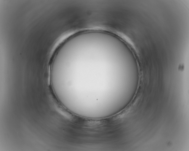 X0000092251223200709140959