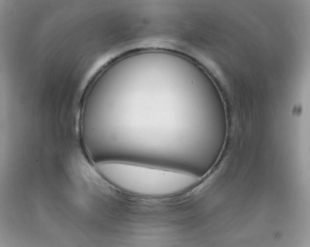 X0000092251224200709140959