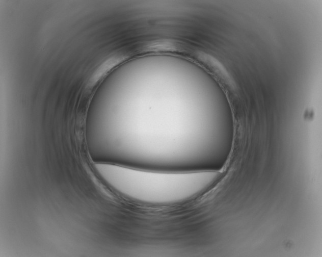 X0000092251225200709140959