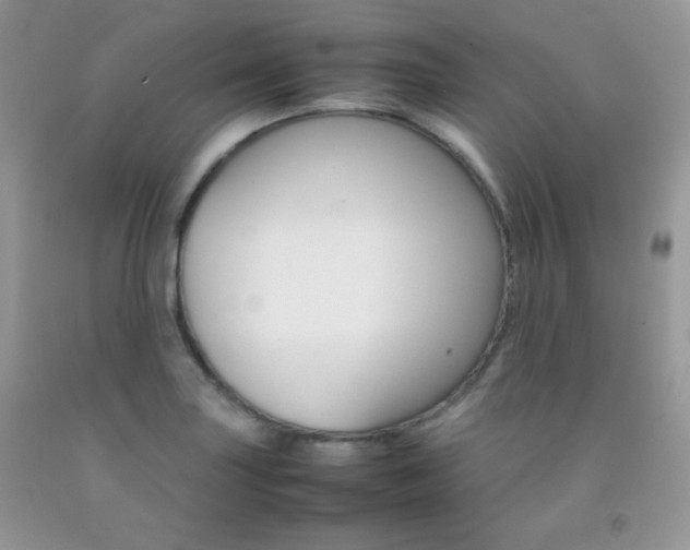 X0000092251227200709140959