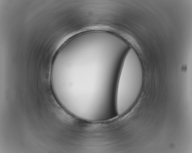 X0000092251228200709140959