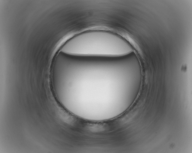 X0000092251229200709140959