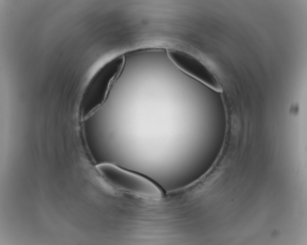 X0000092251230200709140959