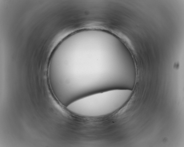 X0000092251231200709140959