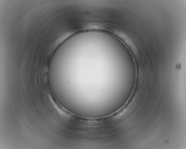 X0000092251233200709140959