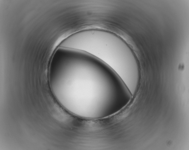 X0000092251234200709140959