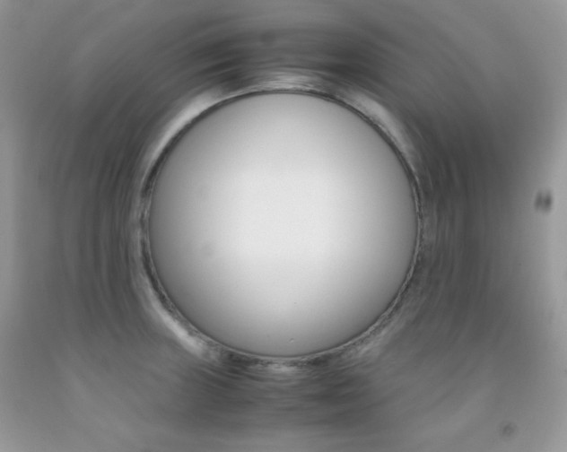 X0000092251235200709140959