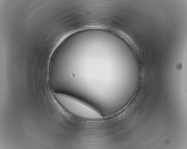 X0000092251236200709140959