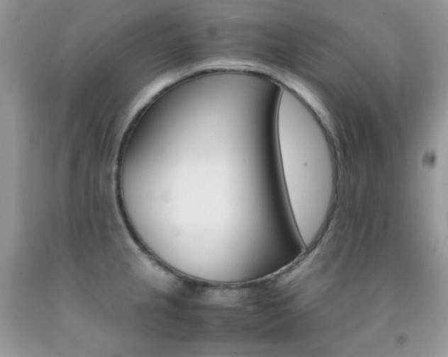 X0000092251237200709140959