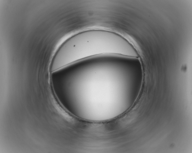 X0000092251238200709140959