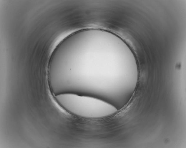 X0000092251239200709140959