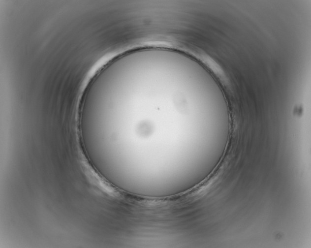 X0000092251240200709140959