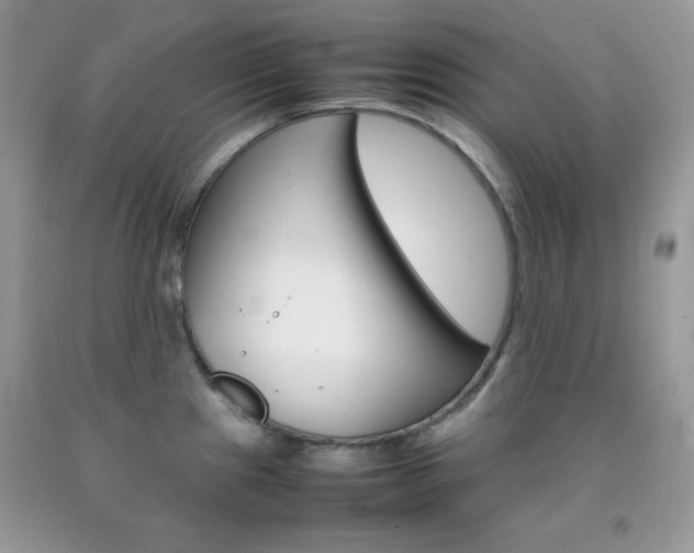 X0000092251241200709140959