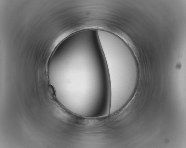 X0000092251242200709140959