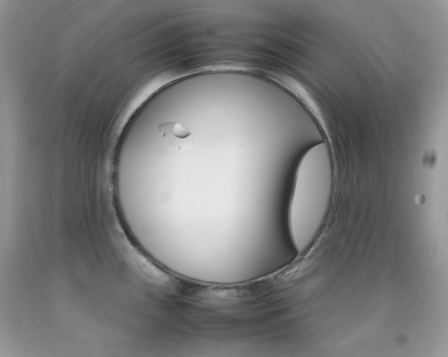 X0000092251243200709140959