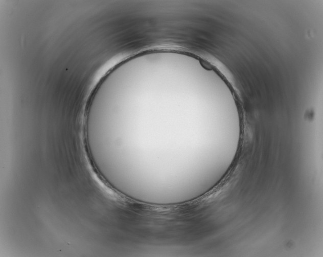 X0000092251245200709140959