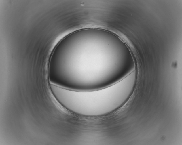 X0000092251246200709140959