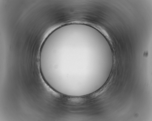 X0000092251247200709140959