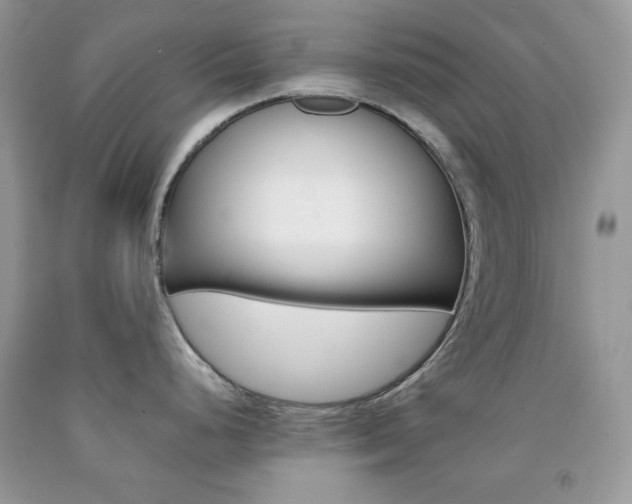 X0000092251248200709140959