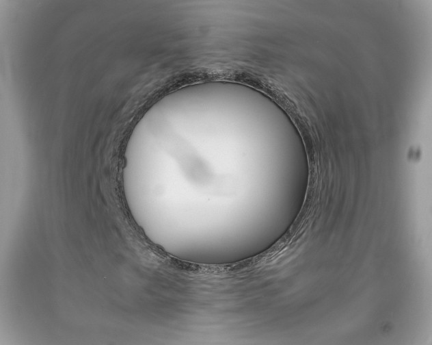 X0000092251249200709140958