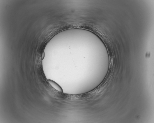 X0000092251251200709140958
