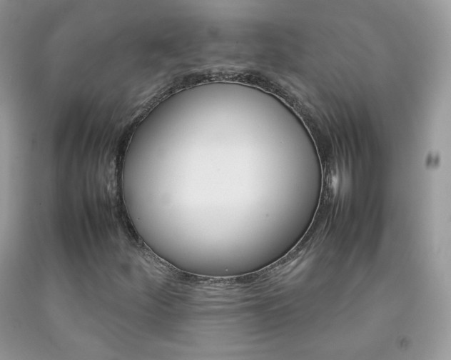 X0000092251252200709140958