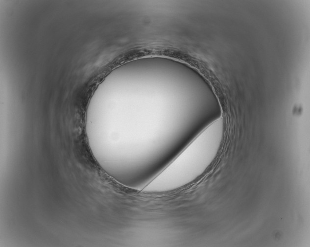X0000092251253200709140958