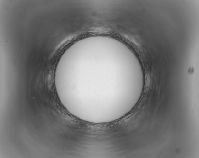 X0000092251254200709140958