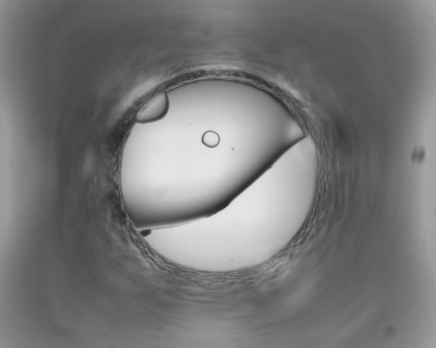 X0000092251255200709140958