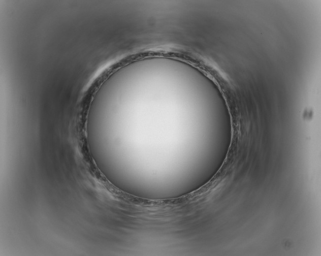 X0000092251256200709140958
