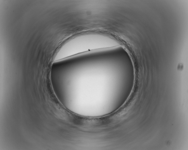 X0000092251257200709140958