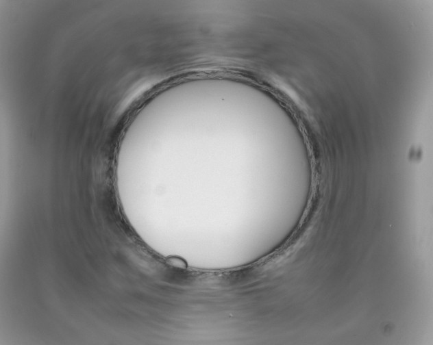 X0000092251259200709140958