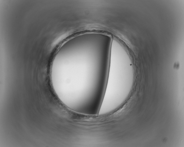 X0000092251261200709140958