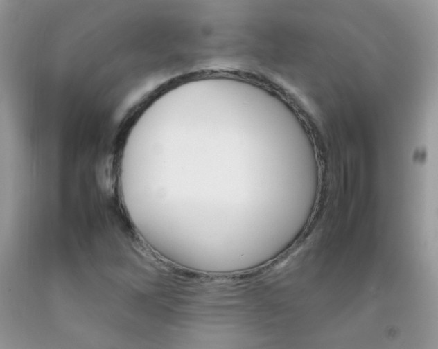 X0000092251262200709140958